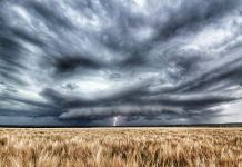 Rural Aid’s popular photography competition returns