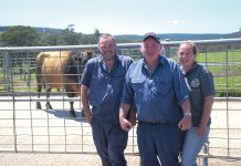 Dairy farmer Matt Willis shares his story