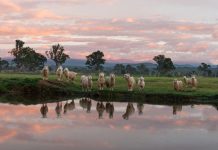 Camera club’s first meeting of the year