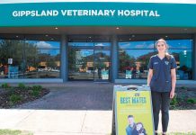 Calls for HECS incentives to address regional veterinary shortages