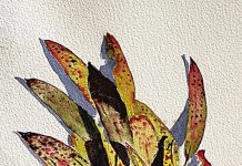 Briagolong Art Gallery’s new gumtree exhibit