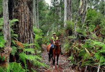 Diverse trail ride in the bush planned