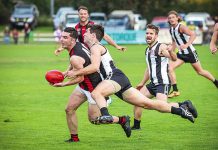 Sale win Battle of the Birds