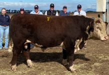 Newcomen add to selection