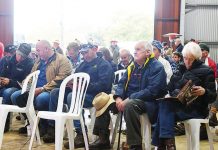 Absolute Angus autumn 2023 sale results