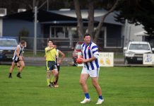 Cougars duo kick 12 each