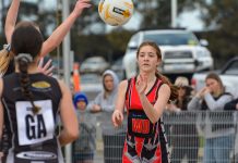 Zoe’s netball scoreboard