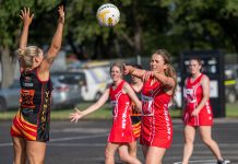 Demons undone in Good Friday netball