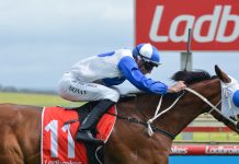 Sale hosts eight-card meeting on Good 4