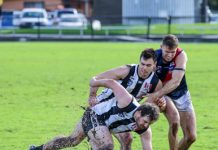 Painful start to the year for Pies and Eagles