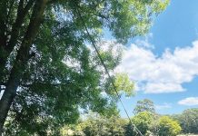 Winners of ‘Your Weekend, Your Waterway’ photo competition announced