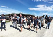 Insight into Sale’s greyhound club