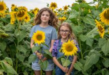 A ray of sunshine for Good Friday