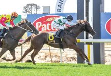 Locals surprise in Bairnsdale