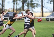 Wildcats tame Tigers with ease