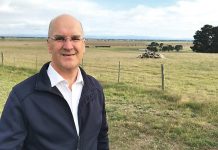 Overpass works offer lookout: O’Brien