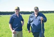 Farming Conversations with John and Steve Ryan from Denison