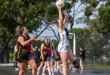 Wildcats suffer first loss, Cougars pounce