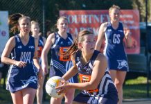 Parrots swarm Magpies in all grades