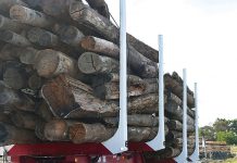 Decision rocks timber industry