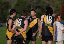 Swan a tiger for a day