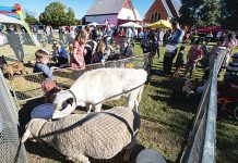 Avon Parish Family Fun Fair returns