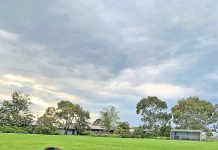 Please pick up after your pooch