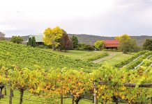 A new era for Carrajung Estate