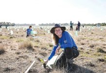 Koala Alliance Victoria to combat misinformation
