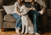 Home check-ups the trick to healthy pets