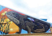 Rosedale Primary School unveil new mural