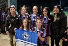 Swans among the champs