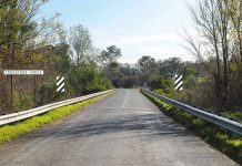 Deer carcasses dumped in Briagolong removed