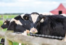 What’s on this month – Ag edition