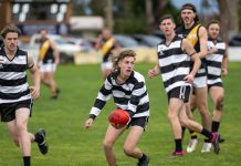 Pies pave path to finals