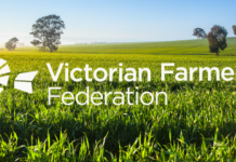 VFF announces Brendan Tatham as chief