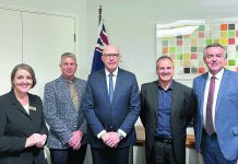 Mayors in Parliament