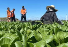 PALM changes to come into effect