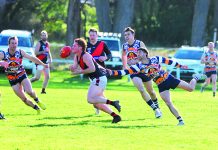 TTU streak continues in North Gippy R13