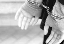 VIPER Taskforce striking at the heart of organised crime