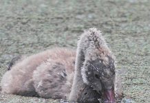 Reader Gallery: June 16 2023