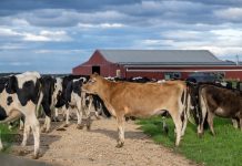 Combating climate change using adaptive farming models