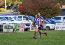 Kangaroos jump the Jets