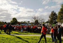 Timber tussle: Council ‘not holding back’