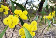 Reader Gallery – July 28