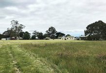 Strathfieldsaye Estate’s revegetation project