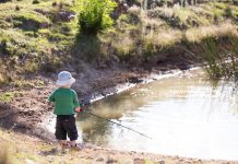 Calls to childproof regional farms