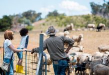 Rural Aid supports food education campaign