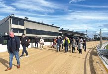 Sale Greyhound Club reopens with an upgraded racetrack