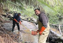 Galaxiids fish finding mission completed